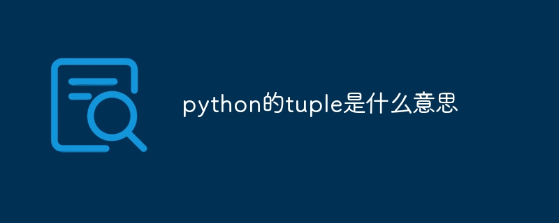 python的tuple是什么意思