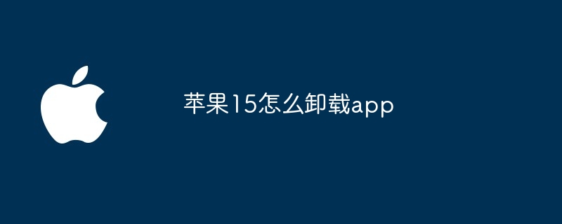 苹果15怎么卸载app