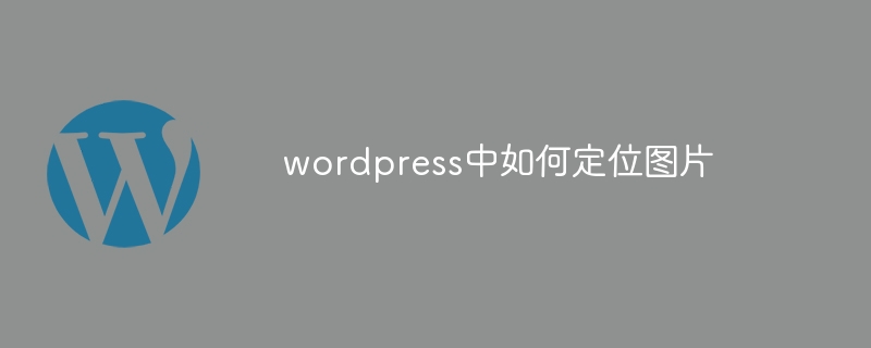 wordpress怎么查看前端