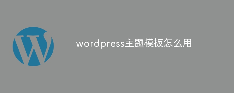 wordpress怎么改h1标签