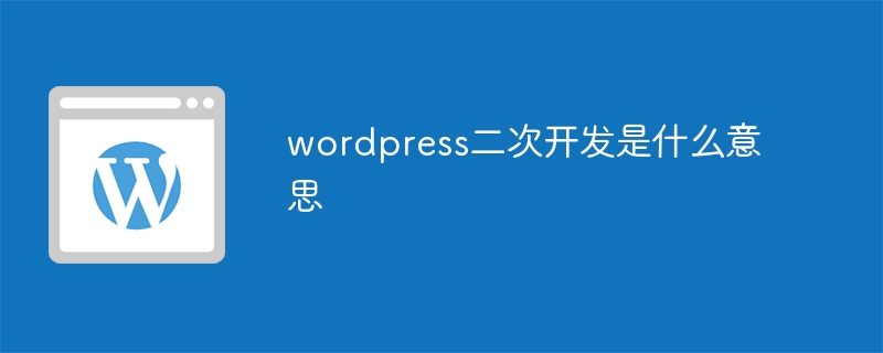 wordpress二次开发是什么意思