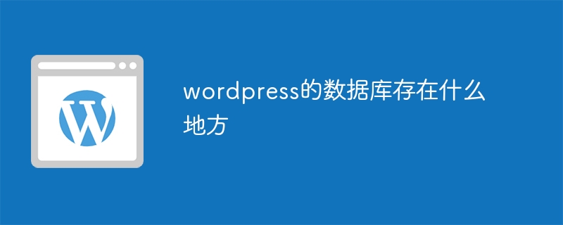 wordpress的数据库存在什么地方