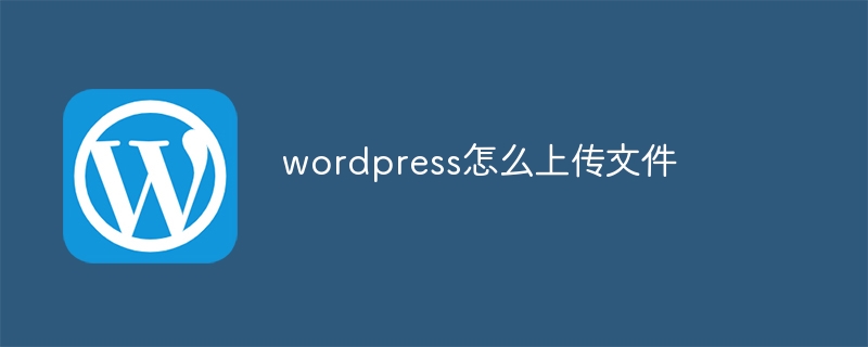 wordpress怎么上传文件