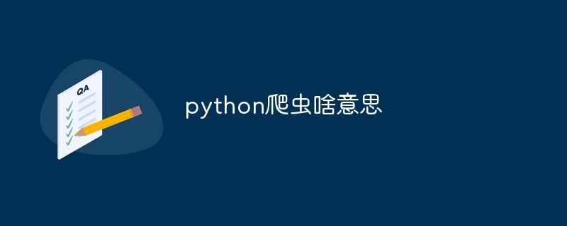 python爬虫啥意思（爬虫.啥意思.python...）