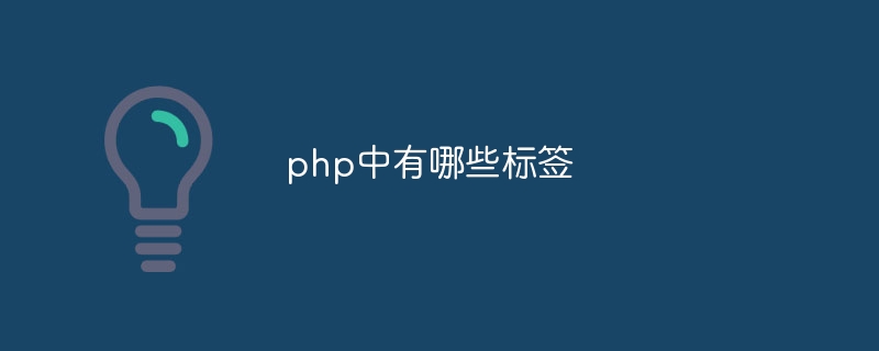 php中有哪些标签（中有.标签.php...）