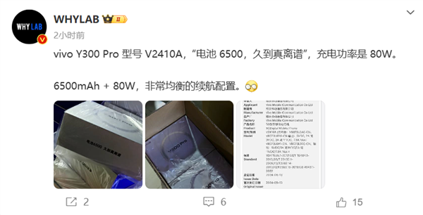 vivo y300 pro即将发布：80w快充+6500mah大电池