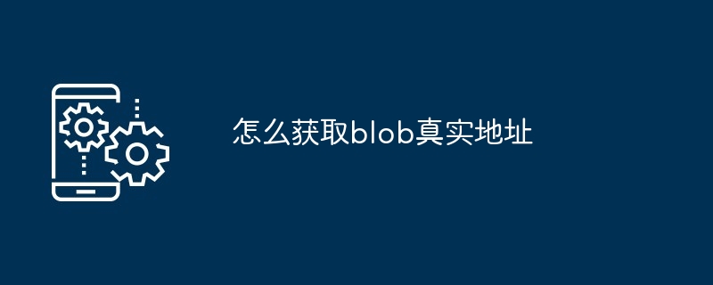 怎么获取blob真实地址