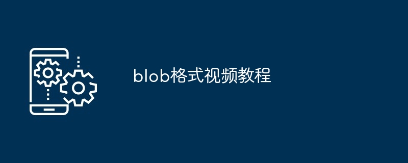 blob格式视频教程