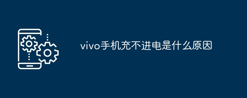 vivo手机充不进电是什么原因