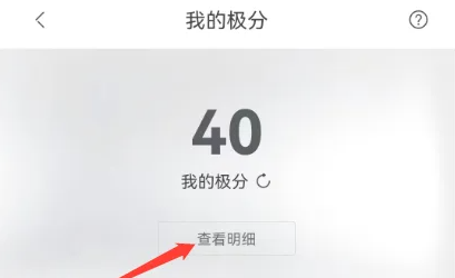 极氪怎么查看积分明细 查看积分明细操作方法