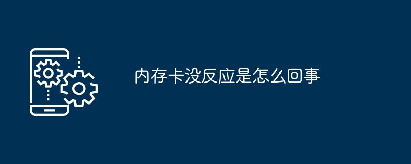 内存卡没反应是怎么回事