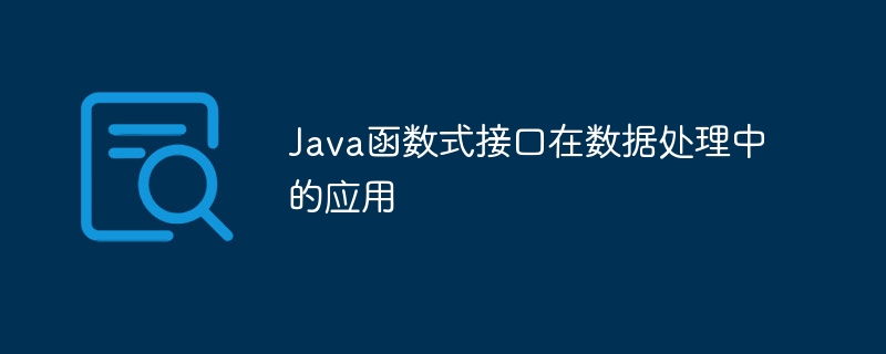 Java函数式接口在数据处理中的应用（数据处理.函数.接口.Java...）