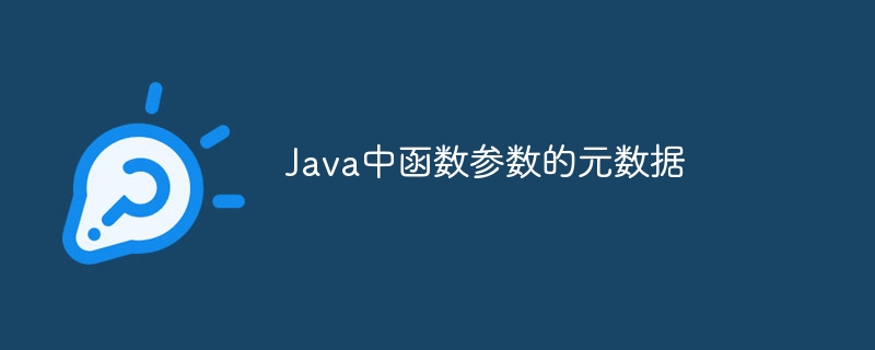 Java中函数参数的元数据（函数.参数.数据.Java...）