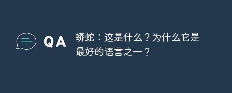 从想法到代码：我如何构建 Python 文本编辑器