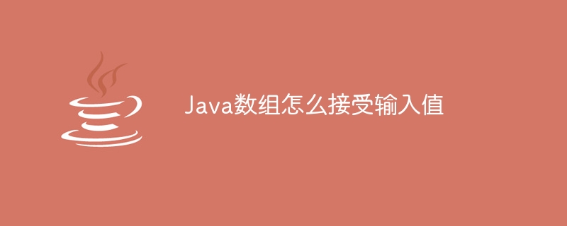 Java数组怎么接受输入值