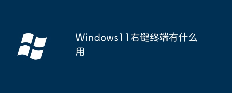 Windows11右键终端有什么用（右键.终端.什么用.Windows11...........）