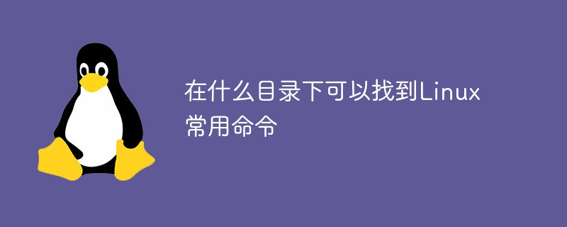 Windows 11 可以提供更好的游戏性能吗（更好.性能.提供.游戏.Windows...........）