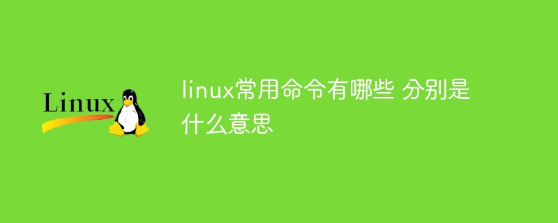 Windows11如何打开命令（命令.打开.Windows11...........）