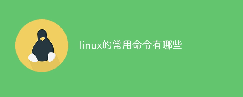 windows11降温除尘在哪（除尘.降温.windows11...........）