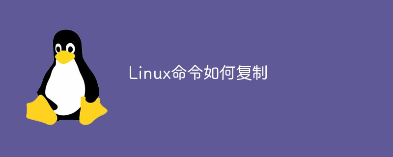 linux scppem有什么作用（有什么.作用.linux.scppem...........）