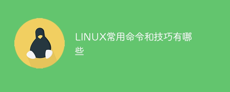 linux lvm缩容有哪些步骤（步骤.有哪些.linux.lvm...........）