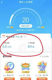 手机淘宝怎么查看消费总额_在手机淘宝上查询您的总花费（淘宝.您的.手机）