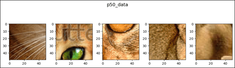 PyTorch 中的 CenterCrop（PyTorch.CenterCrop...）