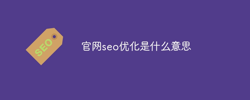 官网seo优化是什么意思（官网.优化.seo.....）