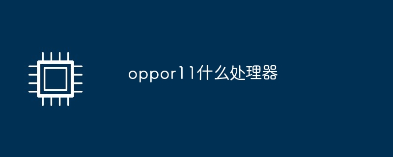 oppor11什么处理器（处理器.oppor11.....）