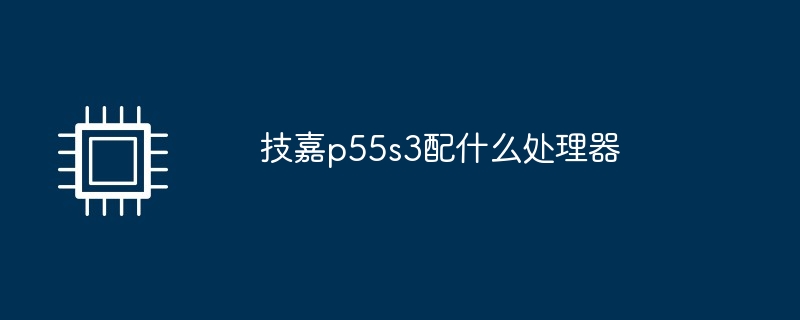 技嘉p55s3配什么处理器（技嘉.处理器.p55s3.....）