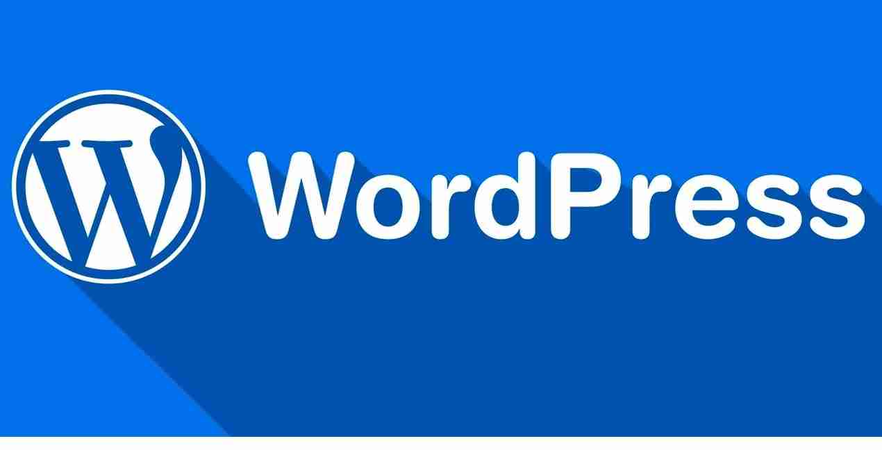 什么是WordPress，WordPress能做什么用？（能做.什么用.WordPress...........）