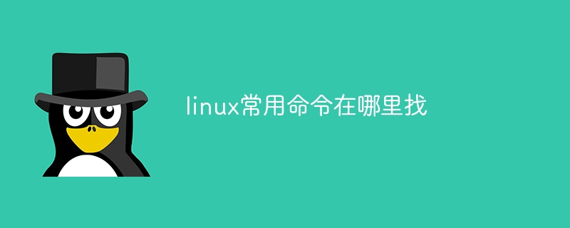 linux常用命令在哪里找(哪里找,常用命令,linux....)