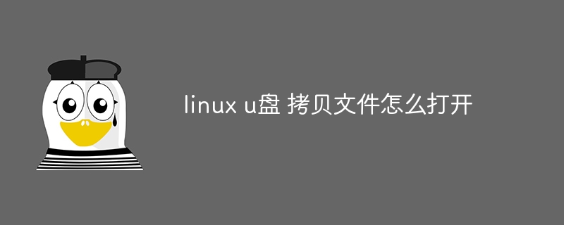 linux u盘 拷贝文件怎么打开(拷贝,打开,文件,linux....)