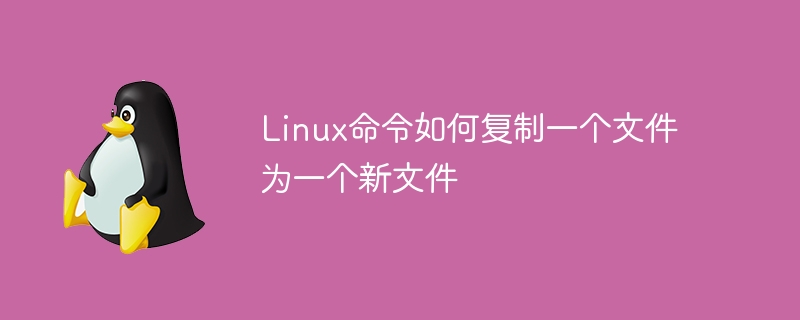 Linux命令如何复制一个文件为一个新文件(命令,复制,新文件,文件,Linux....)