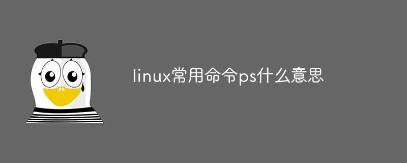 linux常用命令ps什么意思(什么意思,常用命令,linux,ps....)