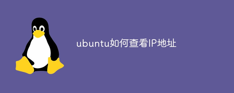 ubuntu如何查看IP地址(地址,查看,ubuntu,IP....)