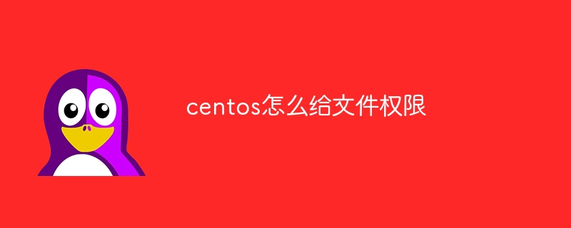 centos怎么给文件权限(权限,文件,centos....)