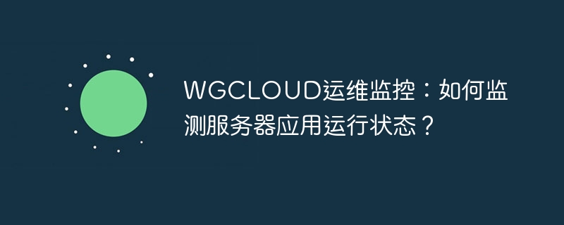 WGCLOUD运维监控：如何监测服务器应用运行状态？