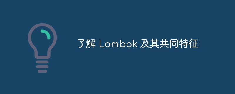 了解 lombok 及其共同特征