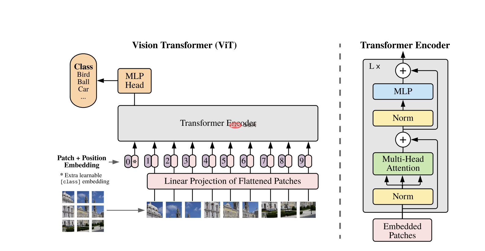 Vision Transformers (ViTs)：使用 Transformer 模型的计算机视觉