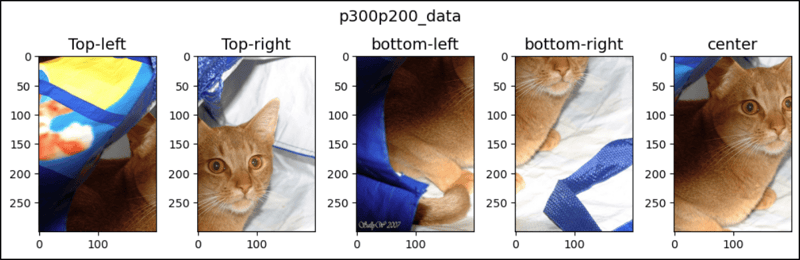 PyTorch 中的 FiveCrop