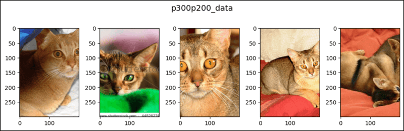 PyTorch 中的 CenterCrop