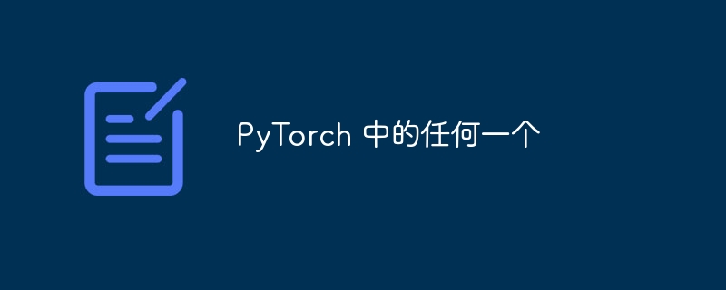 PyTorch 中的任何一个