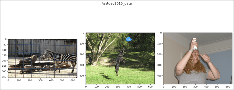 PyTorch 中的 CocoCaptions (1)