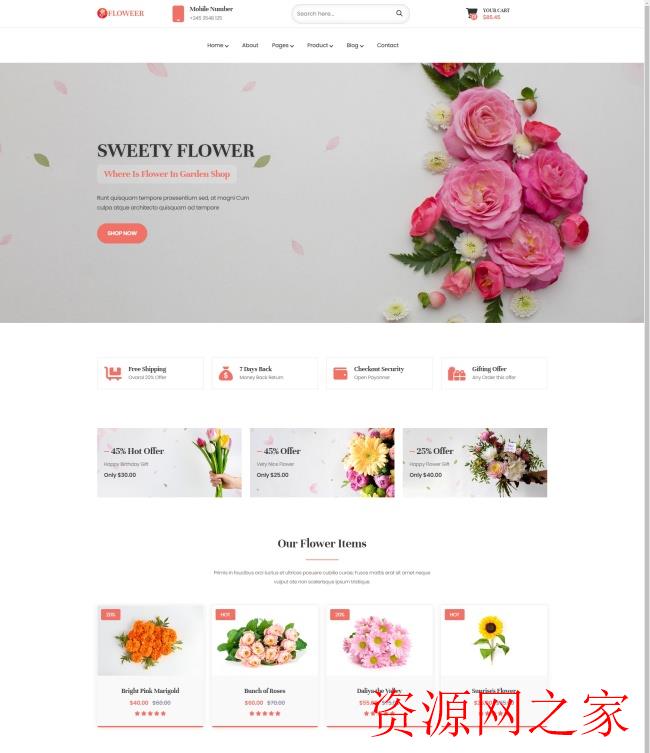 HTML5花店在线商城网站模板(花店,模板,在线商城,网站,HTML5......)