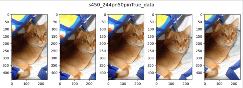 Pytorch中的BanderverticalFlip（Pytorch.BanderverticalFlip...）