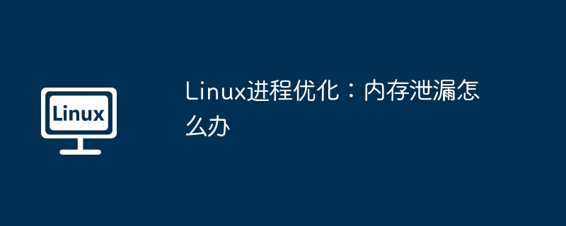 Linux进程优化：内存泄漏怎么办（泄漏.进程.内存.优化.Linux...........）