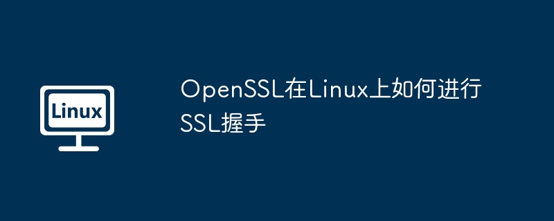 OpenSSL在Linux上如何进行SSL握手（握手.OpenSSL.Linux.SSL...........）