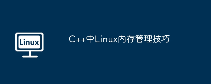 C++中Linux内存管理技巧（内存管理.技巧.Linux...........）