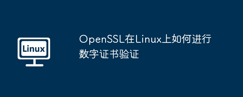 OpenSSL在Linux上如何进行数字证书验证（数字证书.验证.OpenSSL.Linux...........）